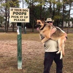 Meet your Posher, Sam